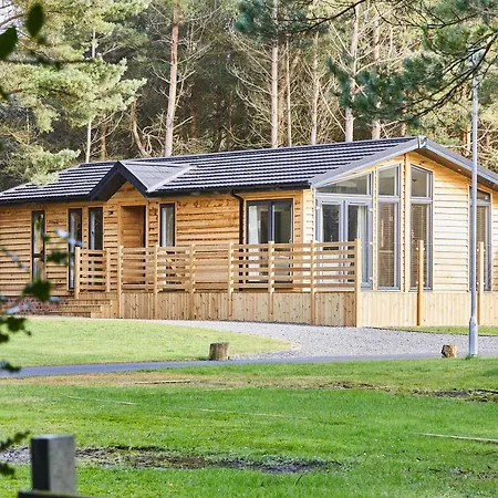 Host & - Eller Beck, The In The Woods